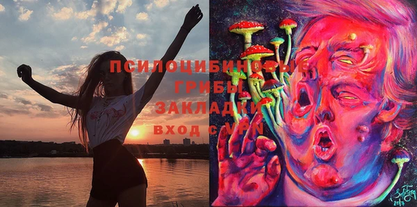 дурь Арсеньев