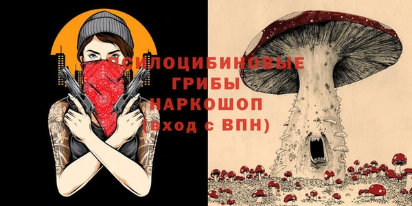 дурь Армянск