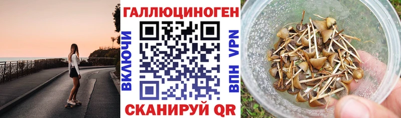 Псилоцибиновые грибы Magic Shrooms  Полярный 